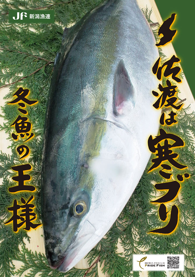 pride_fish